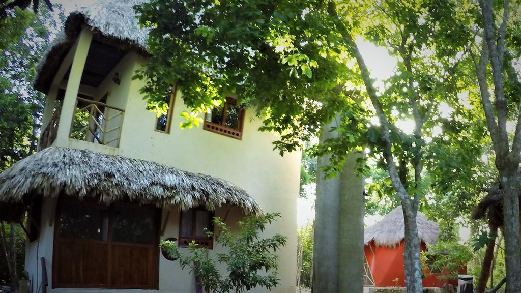 巴卡拉尔 La Casa De Los Ninos Del Arbol酒店 外观 照片